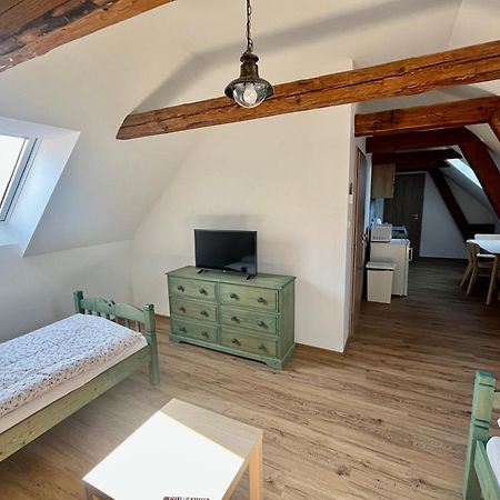 Apartmany Statek Bezdedice Hostomice Eksteriør bilde