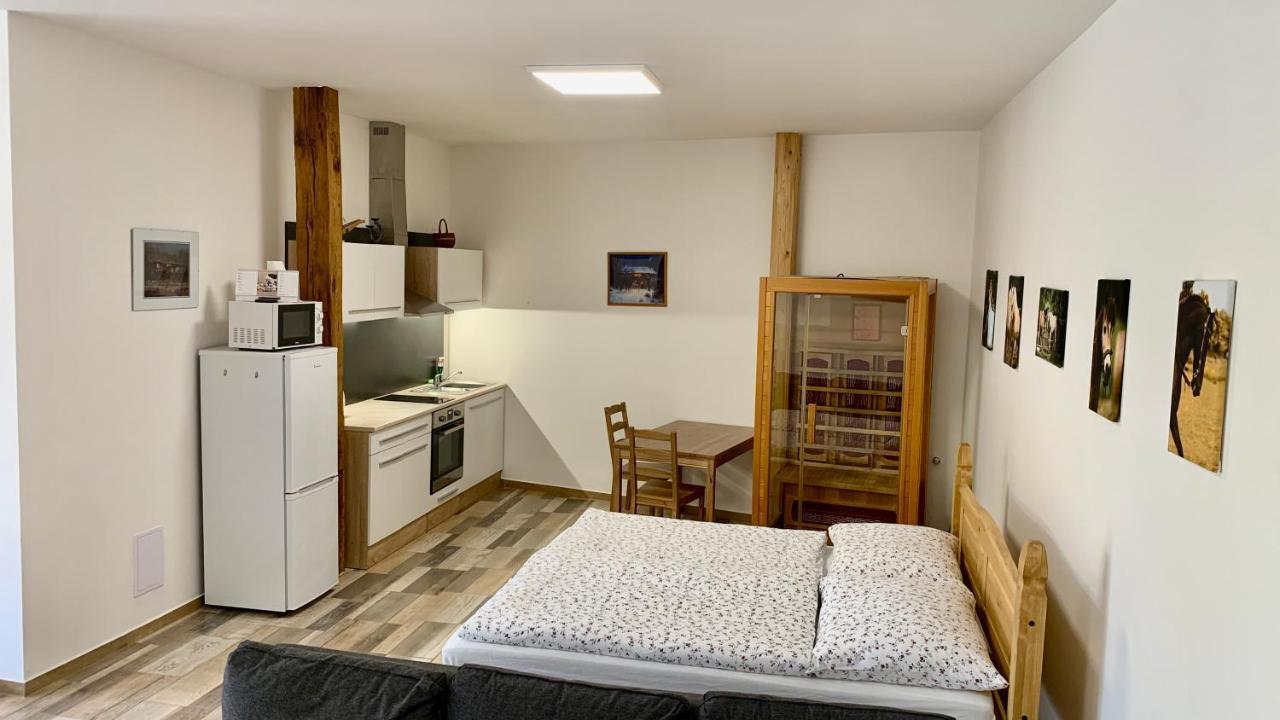 Apartmany Statek Bezdedice Hostomice Eksteriør bilde